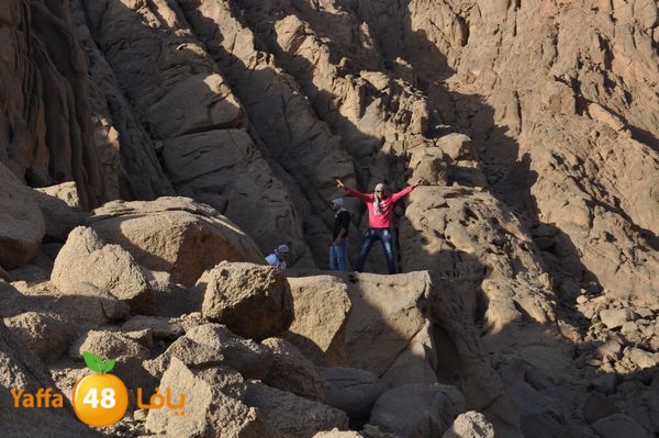 sharmelskhe8634 (49).jpg